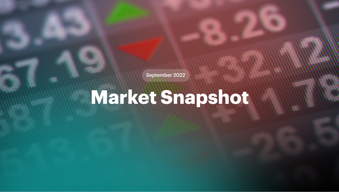 Market snapshot 7